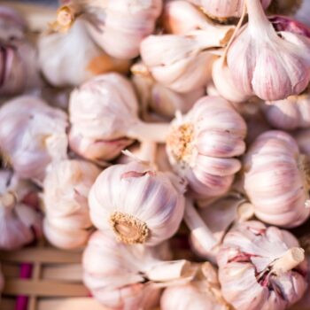Raw heads of garlic