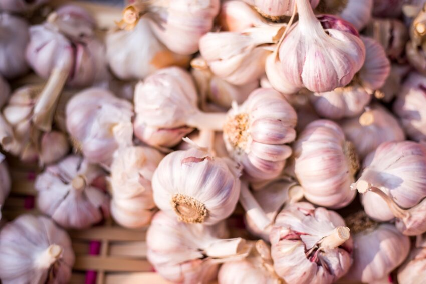 Raw heads of garlic