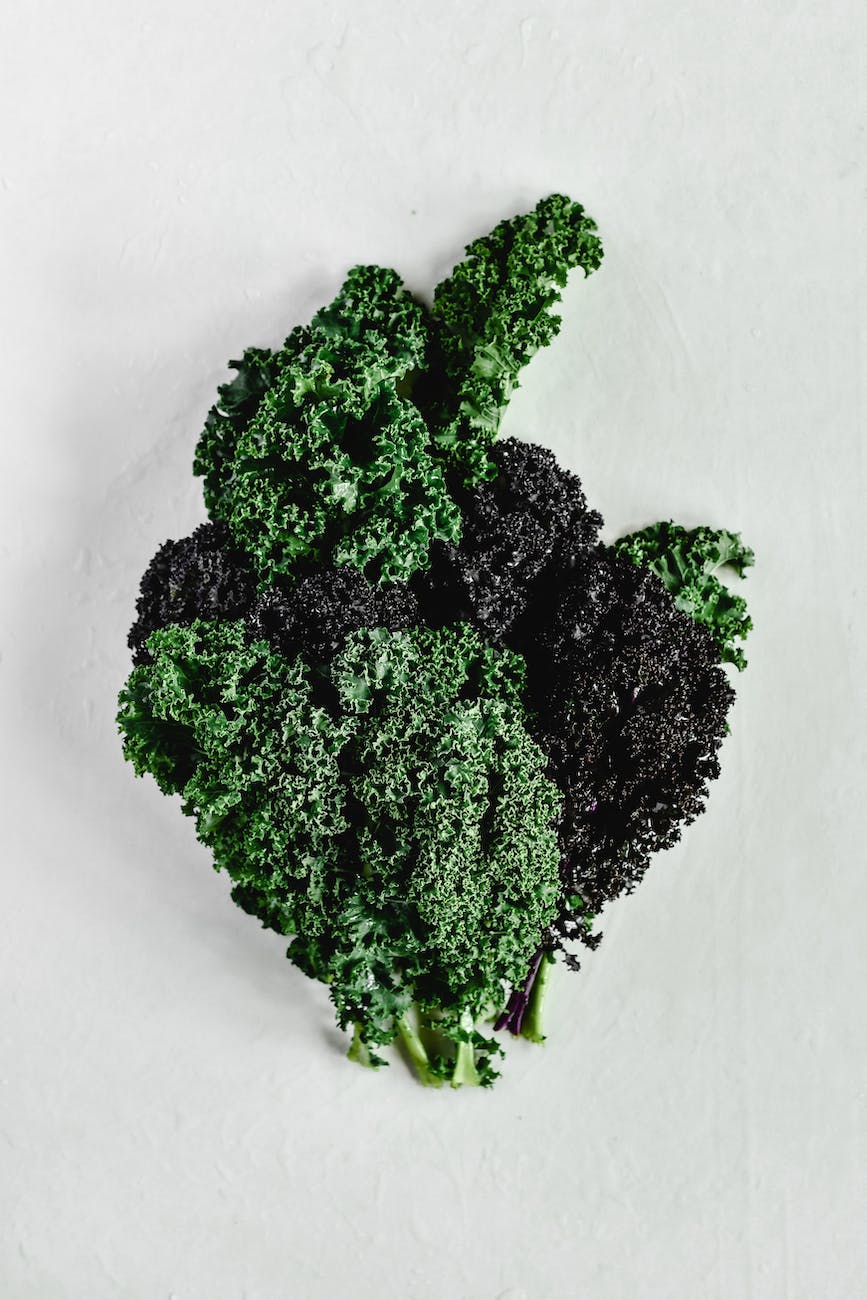 curly kale on white background