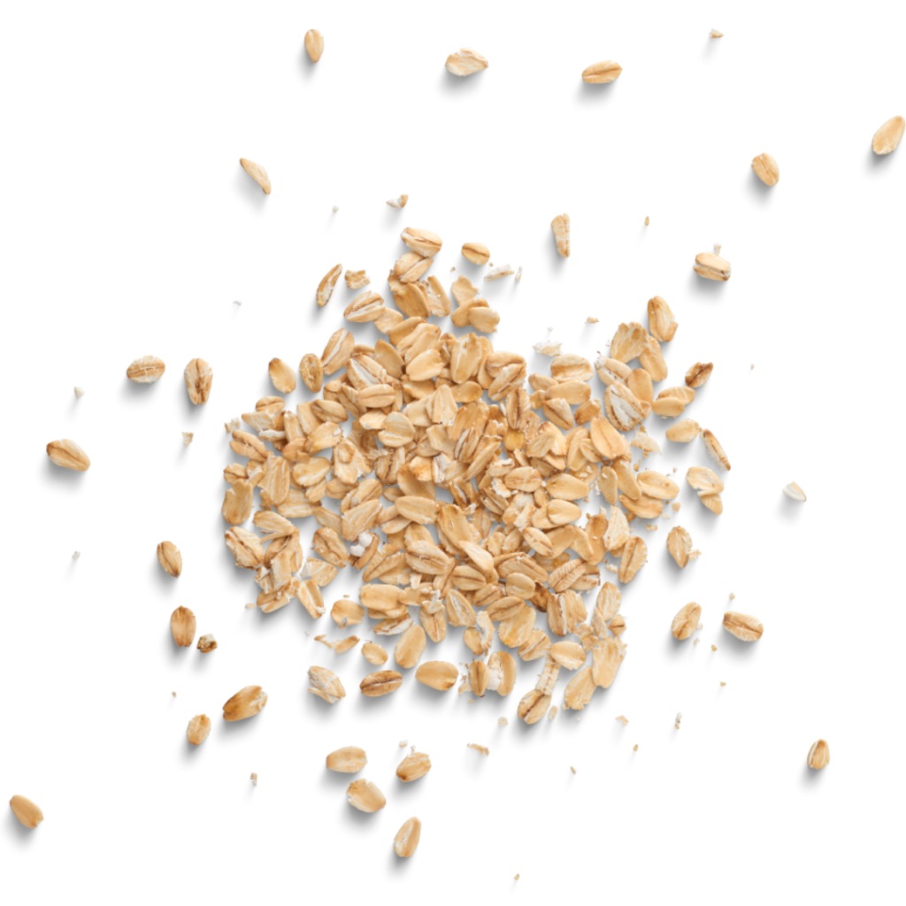 Rolled oats on white background