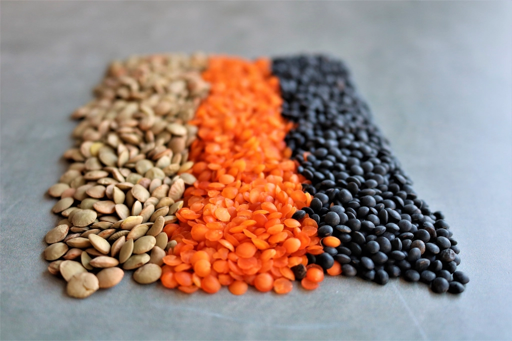 Free lentils tricolor image